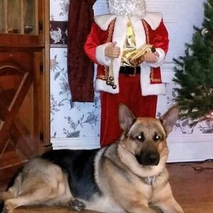 Meet your Posher, Christine